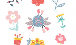 动漫 花,绽放于时光之河的青春传奇